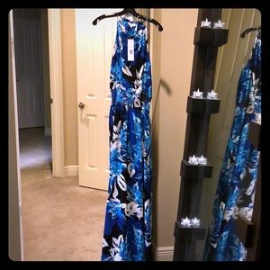 Parker Blue “Gardenia” Maxi Dress
